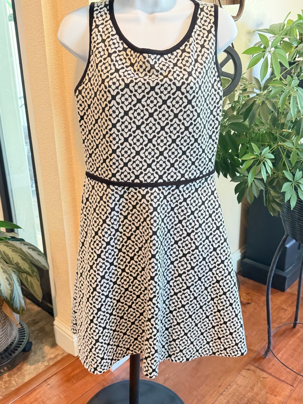 Black/White A-Line Dress